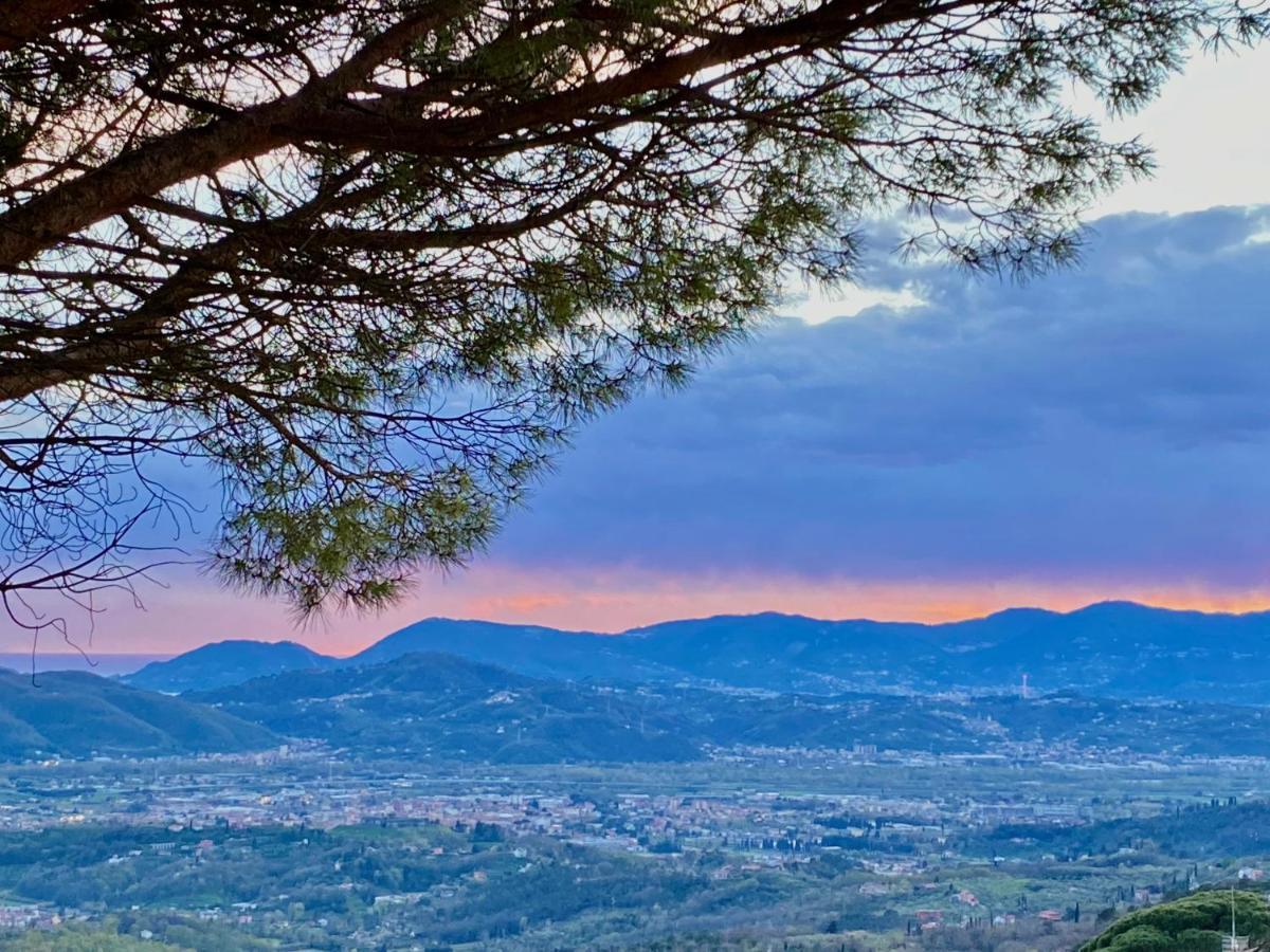فوسدينوفو La Ginestra B&B المظهر الخارجي الصورة