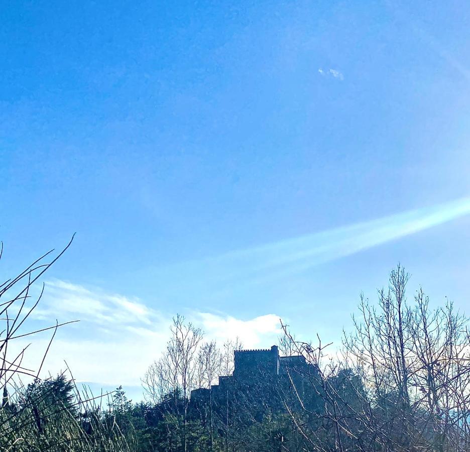 فوسدينوفو La Ginestra B&B المظهر الخارجي الصورة