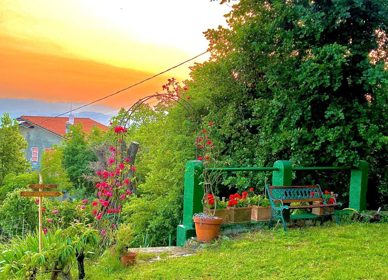 فوسدينوفو La Ginestra B&B المظهر الخارجي الصورة