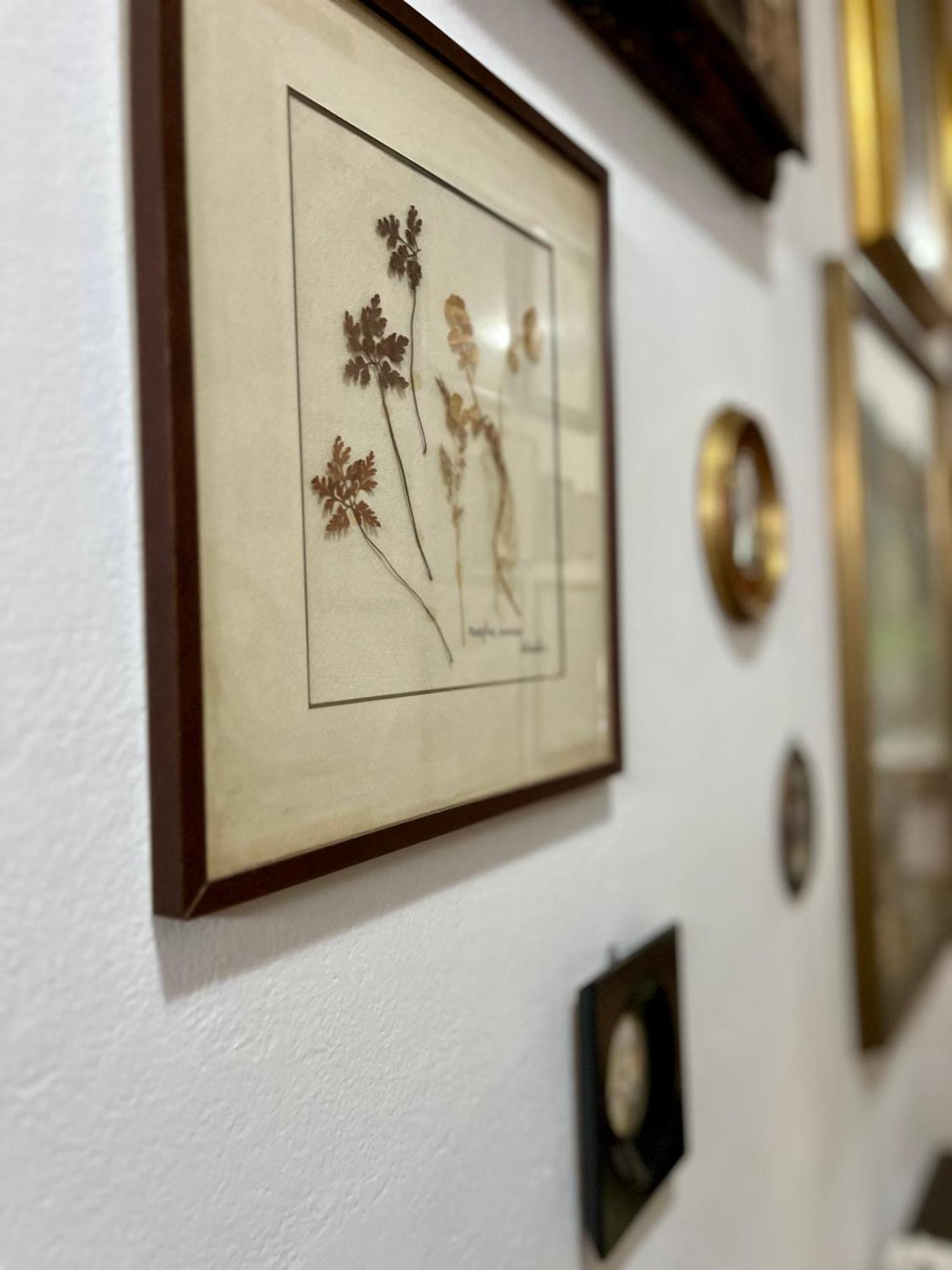 فوسدينوفو La Ginestra B&B المظهر الخارجي الصورة